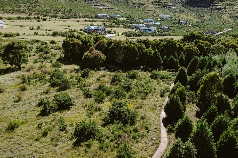 Aerial view of the estate’s tree-lined roads and stands