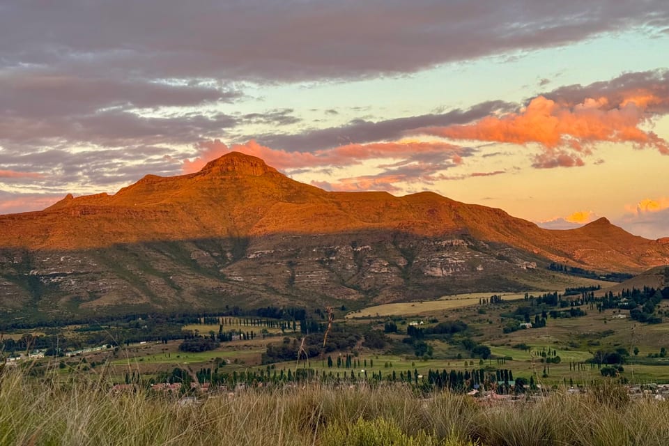 Mountain peaks lit pink at sunset above the treeline
