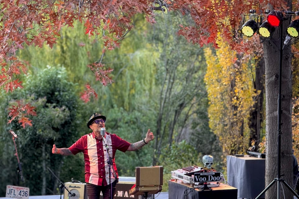 A musician performing outdoors beneath poplars in autumn colour
